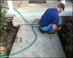 Dead animal removal Spotsylvania VA