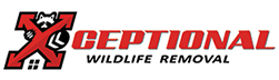 Spotsylvania Wildlife Removal